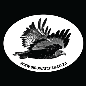 Portfolio Responsive Website Design
