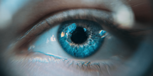 Internet Marketing Services: How They Can Help Grow Your Business