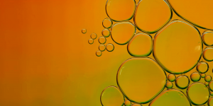 The Pros And Cons Of Responsive Website Design: Is It The Right Choice For Your Business?