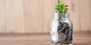 Why Should My Business Invest In A Modern Responsive Website?