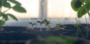 How To Invest In Your Website To Grow Your Business