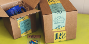 Ecommerce Website Development: Why It Is Important To Hire A Professional